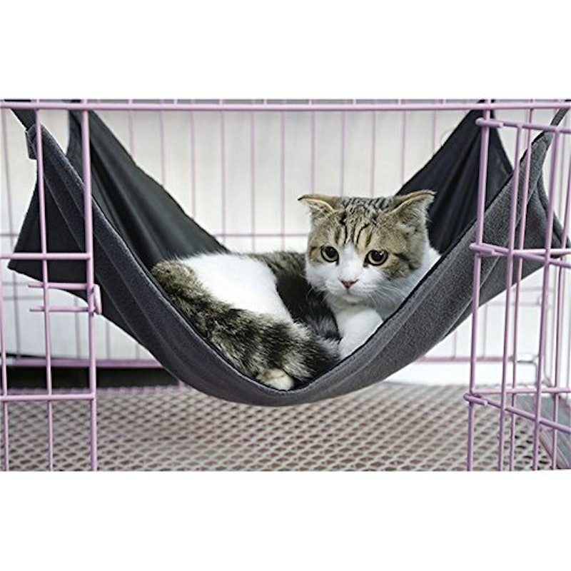 猫のハンモック 4