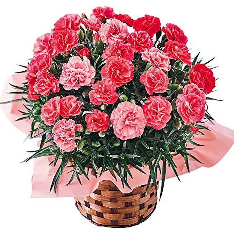 H X Ovbpcwpa8m H X Ovbpcwpa8m