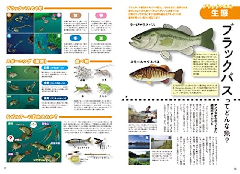 いちばん簡単なバス釣り入門 3