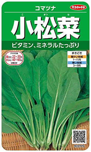 家庭菜園向け野菜のおすすめ人気ランキング【2026年5月】 4