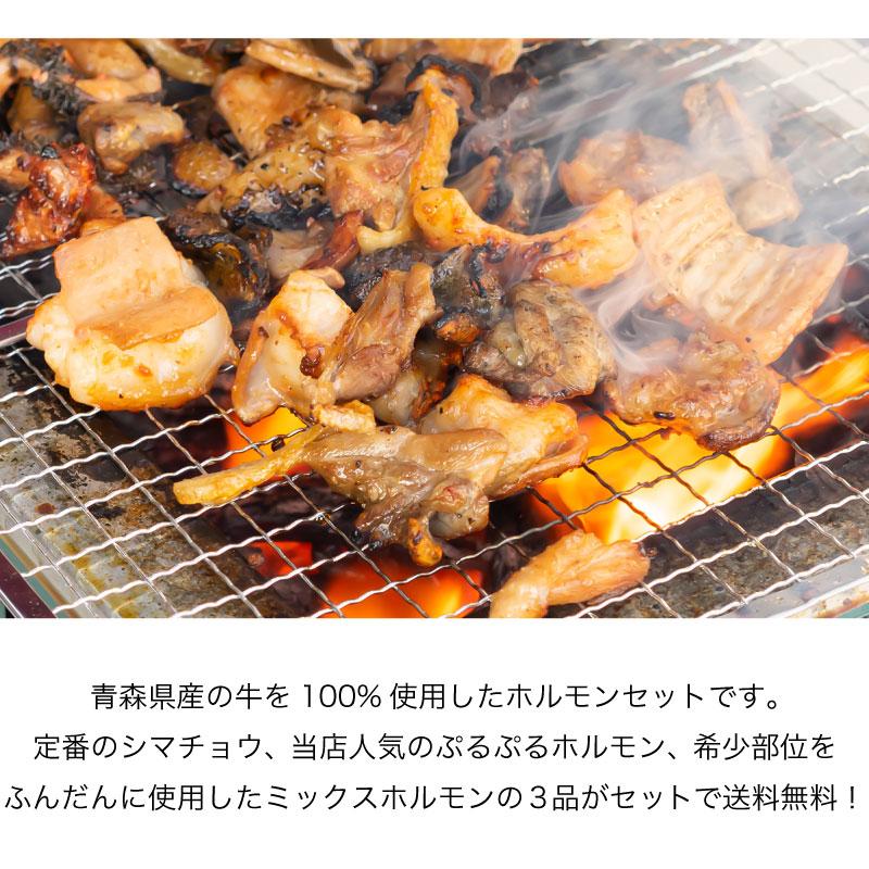  国産牛ホルモンお試しセット 3