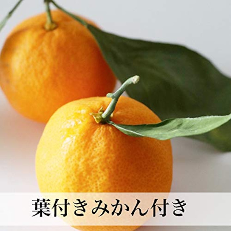 鏡餅(小) 4