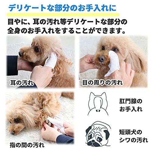 マルチフィンガーシート 5