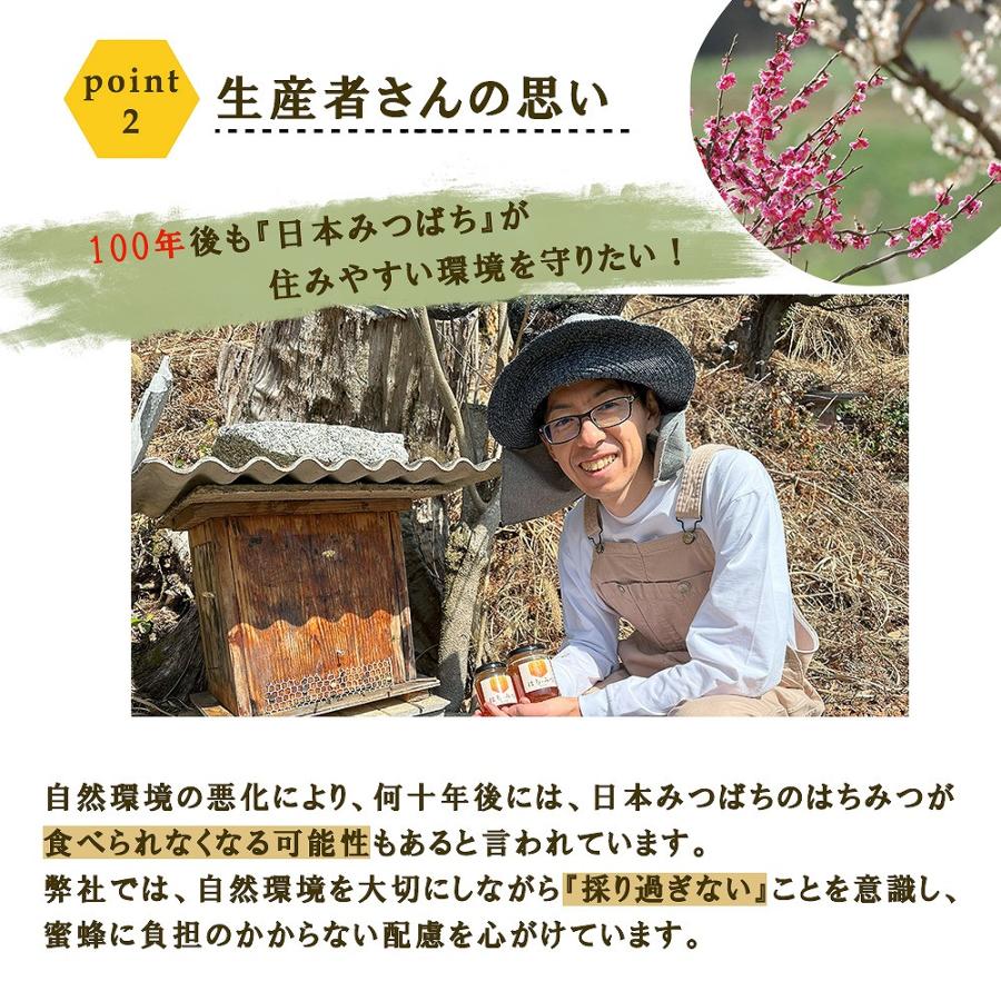 菌ちゃんげんきっこ 5