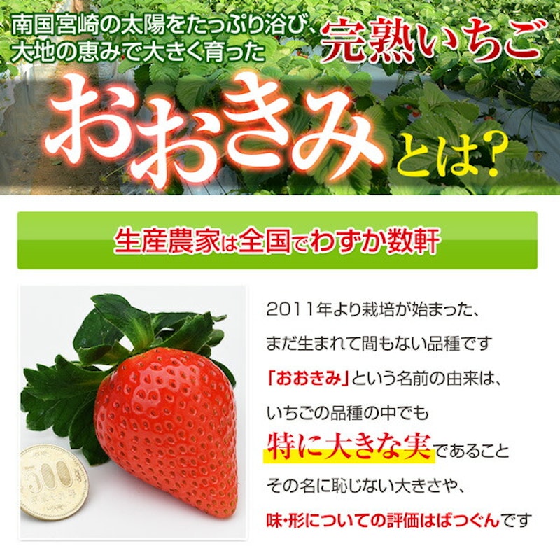 宮崎産高級いちご「おおきみ」超特大9粒 5
