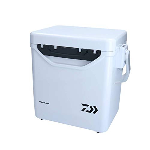 22年 小型のクーラーボックスのおすすめ人気ランキング選 Mybest