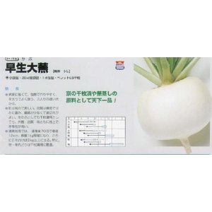 家庭菜園向け野菜のおすすめ人気ランキング【2026年5月】 5