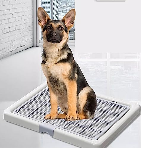 Amazon | 犬 トイレ トレー スーパーワイド 大型犬 特大 1020 x