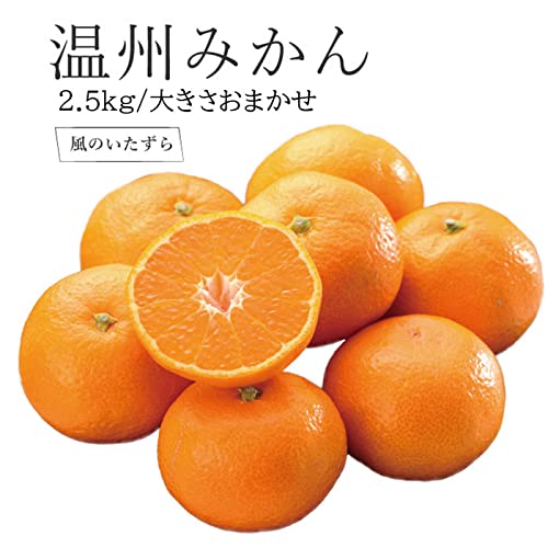 温州みかん 3