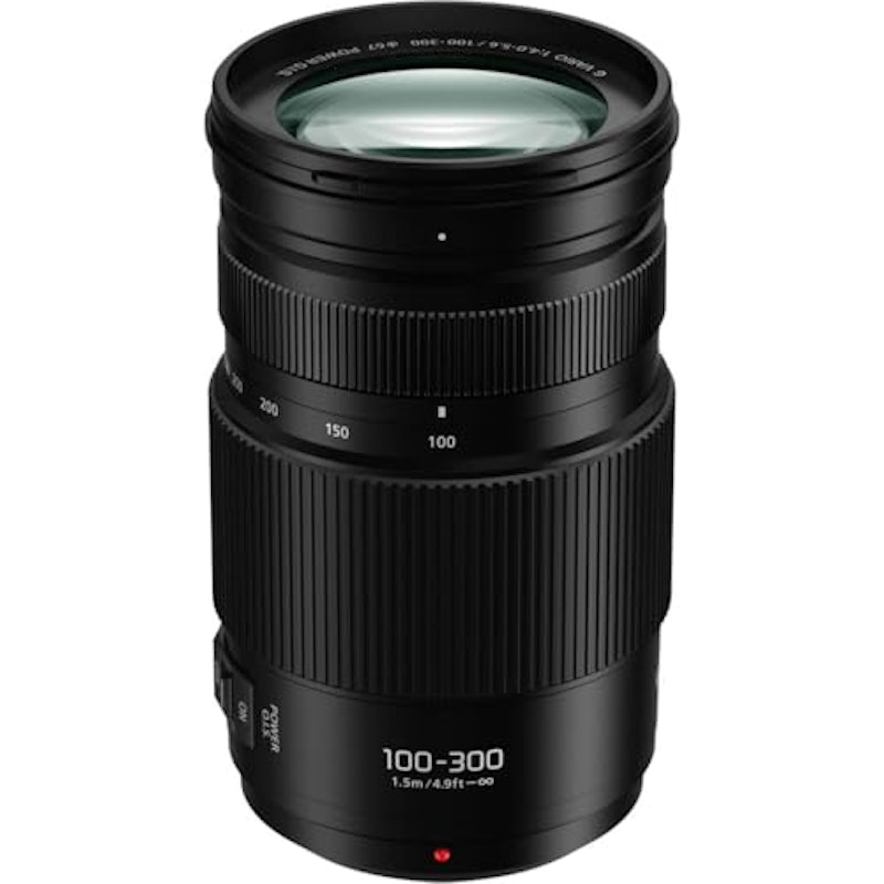 G VARIO 100-300mm / F4.0-5.6 Ⅱ / POWER O.I.S. 1