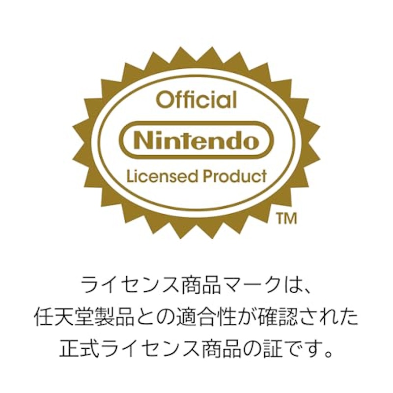 USBカメラ for Nintendo Switch™ 2 2