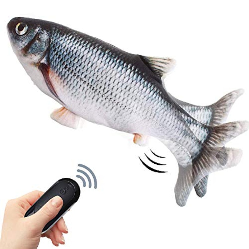 Ojes11mijtxcpm Ojes11mijtxcpm