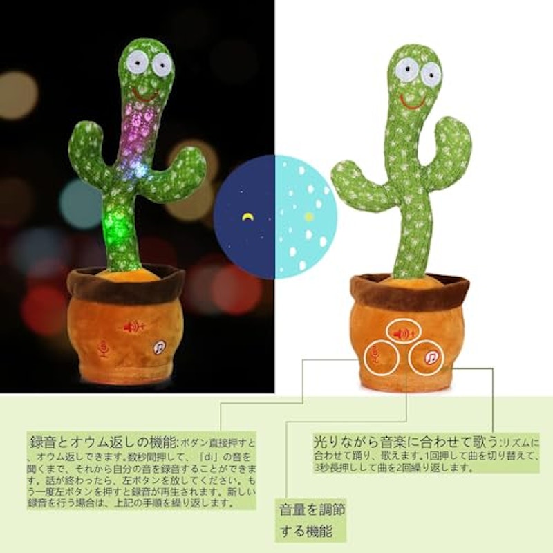 踊るサボテン 7