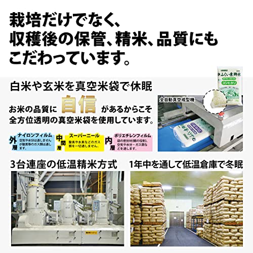 有機JAS東郷米コシヒカリ（白米） 9