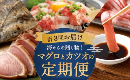 定期便3回 海からの贈り物 1
