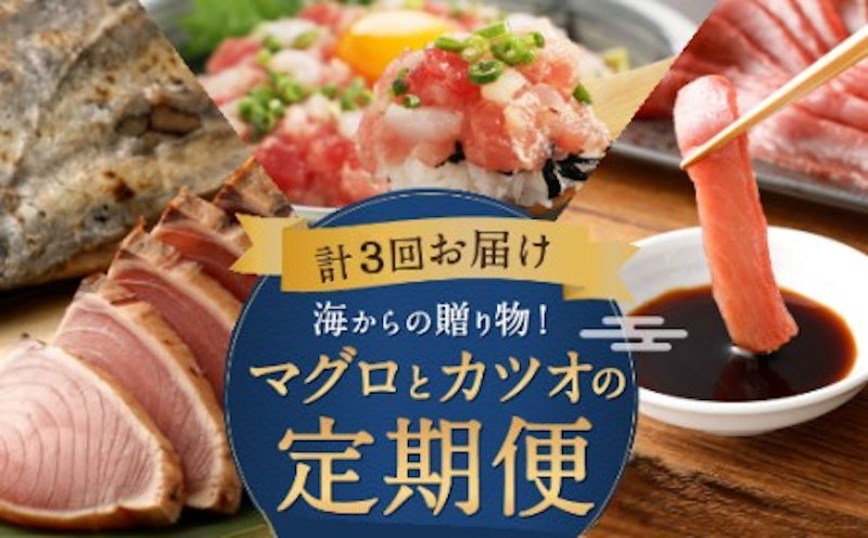 定期便3回 海からの贈り物 1