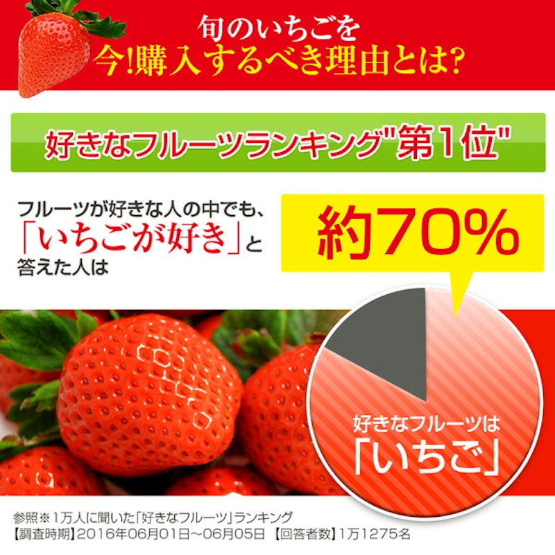 宮崎産高級いちご「おおきみ」超特大9粒 3