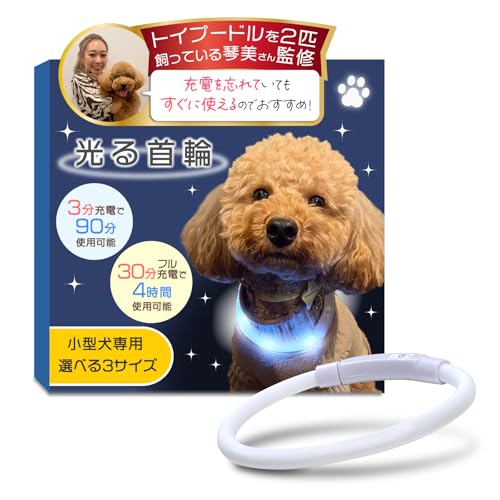 おしゃれな犬用首輪のおすすめ人気ランキング【2026年9月】 4