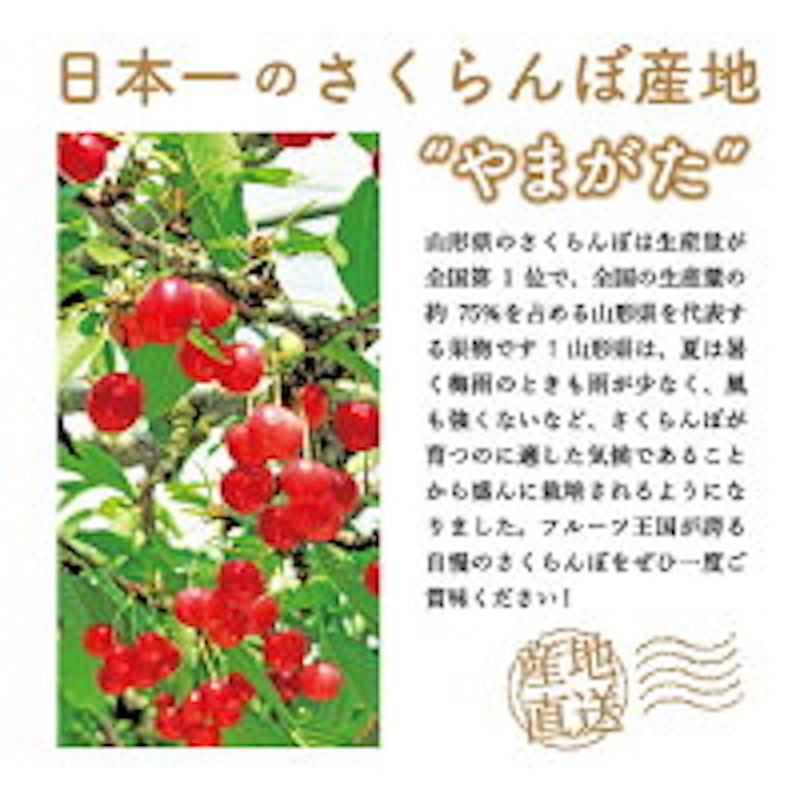 さくらんぼ 3