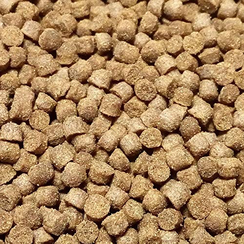 42円 【オンライン限定商品】 キョーリン ザリガニ ヤドカリ カニのエサ 50g 飼育 餌 42円 【オンライン限定商品】 キョーリン ザリガニ ヤドカリ カニのエサ 50g 飼育 餌