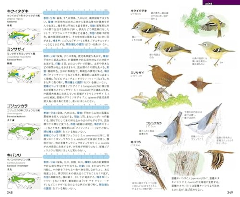 フィールド図鑑 日本の野鳥 第3版 6