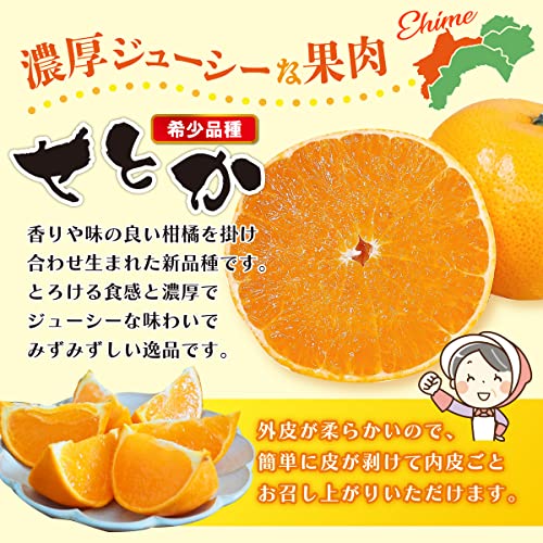 赤秀 せとか 3