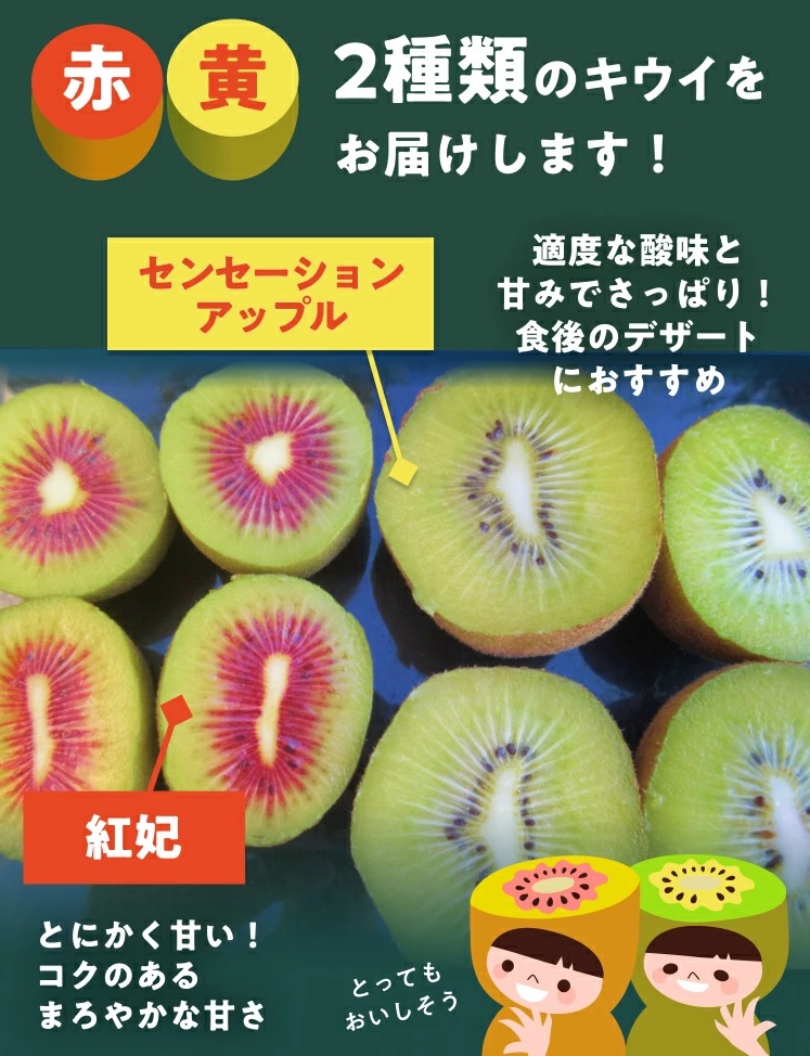 国産キウイ 赤黄2色ミックス 2