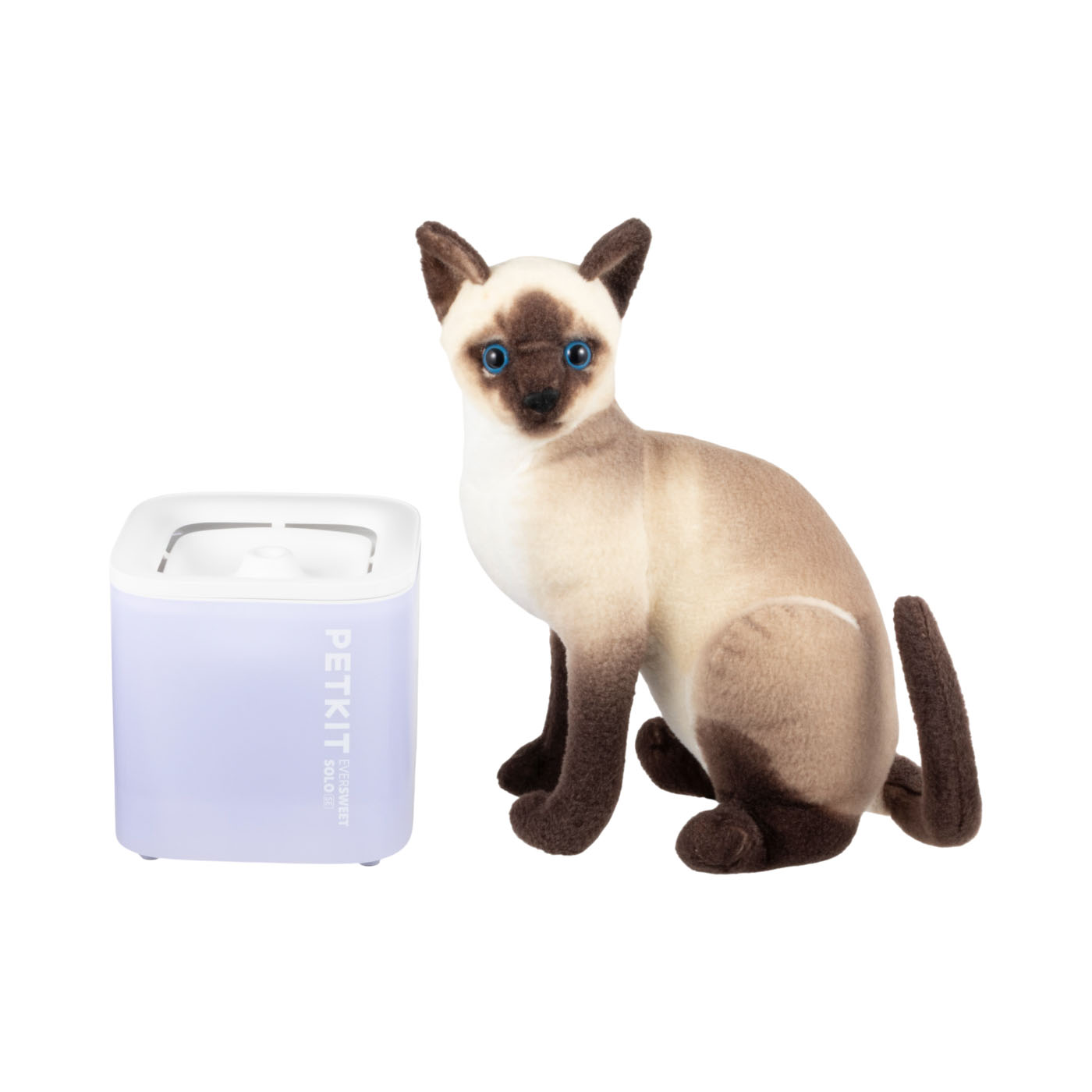 PETKIT EverSweet Solo SEを検証レビュー！猫用自動給水器の選び方も