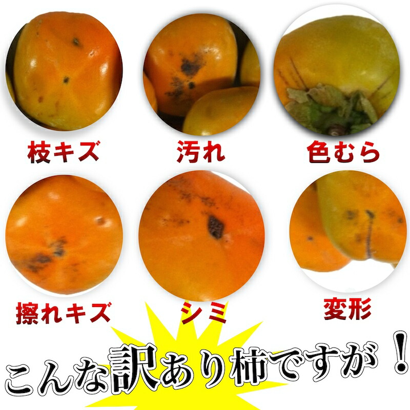 たねなし柿 2