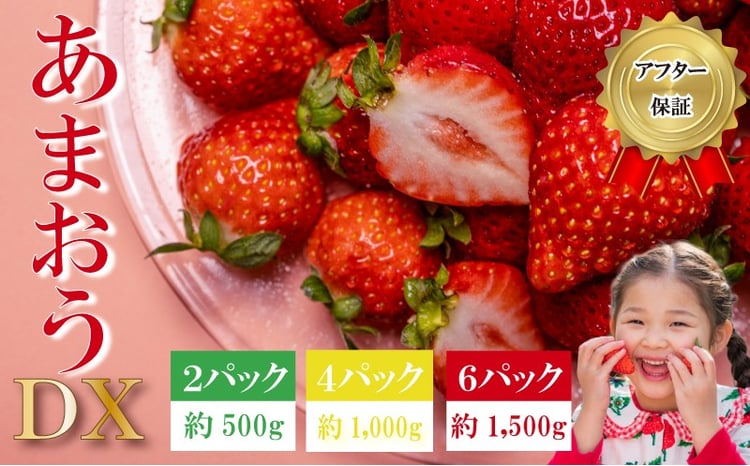 博多あまおうDX 1