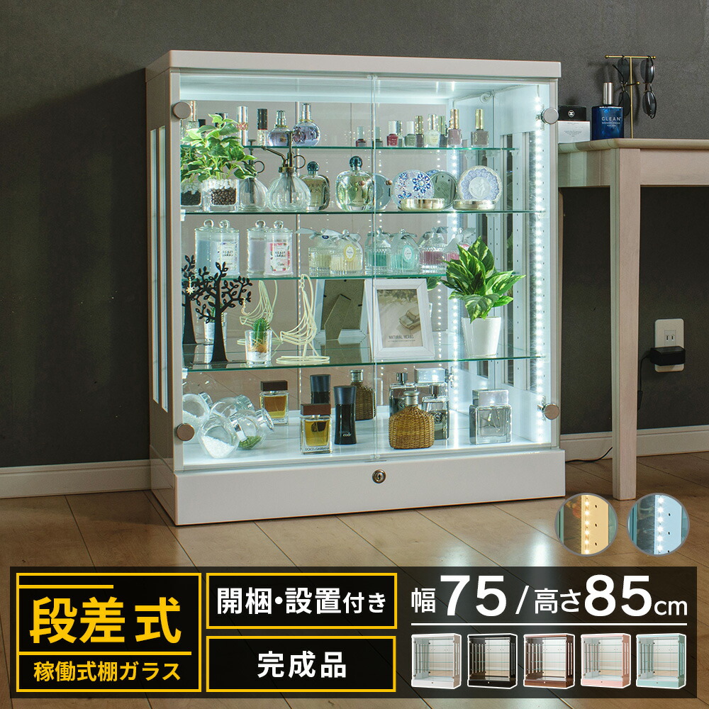 コレクションケース  1