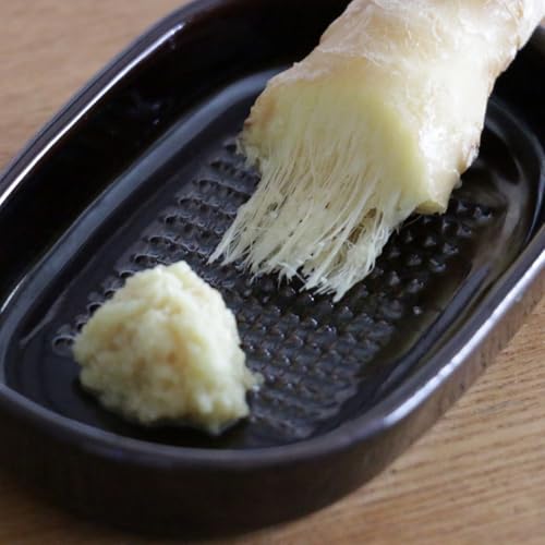 しょうがのおろし器 2