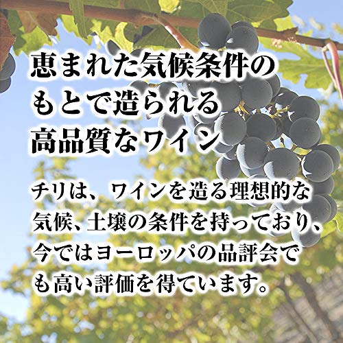 カベルネ・メルロー  5
