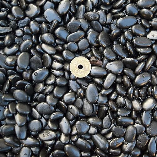 黒玉砂利 3