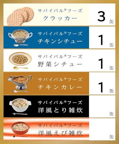 チキンカレー・チキンシチュー・野菜シチューのファミリーセット 2