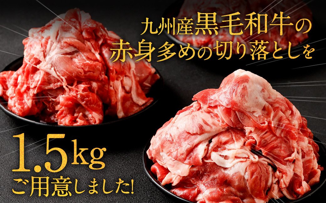 期間限定60％OFF! 全6回定期便 昭和20年創業老舗の極みハンバーグ10個 1.5kg をご寄附の翌月から2ヶ月に1回お送りいたします 佐賀牛  佐賀県産豚肉 お弁当 夕食 個包装 2022年 令和4年 fucoa.cl