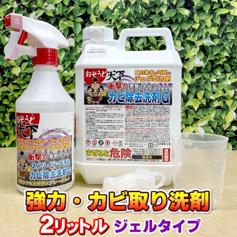 カビ除去洗剤G 1