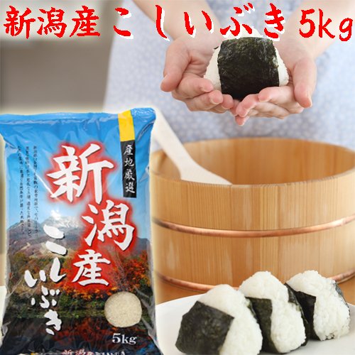 小出農場 新潟産 こしいぶき 5分づき 1