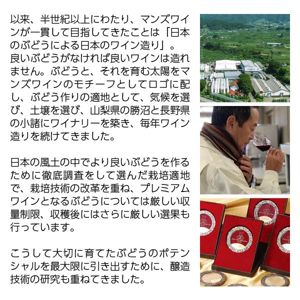 山梨 甲州 2024 3