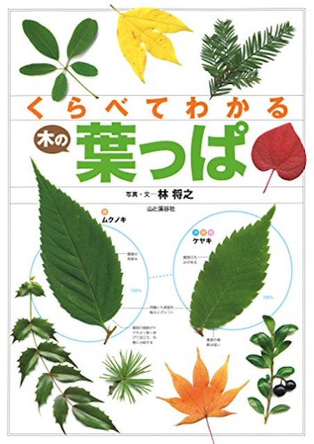 21年 樹木図鑑のおすすめ人気ランキング10選 Mybest 21年 樹木図鑑のおすすめ人気ランキング10選 Mybest