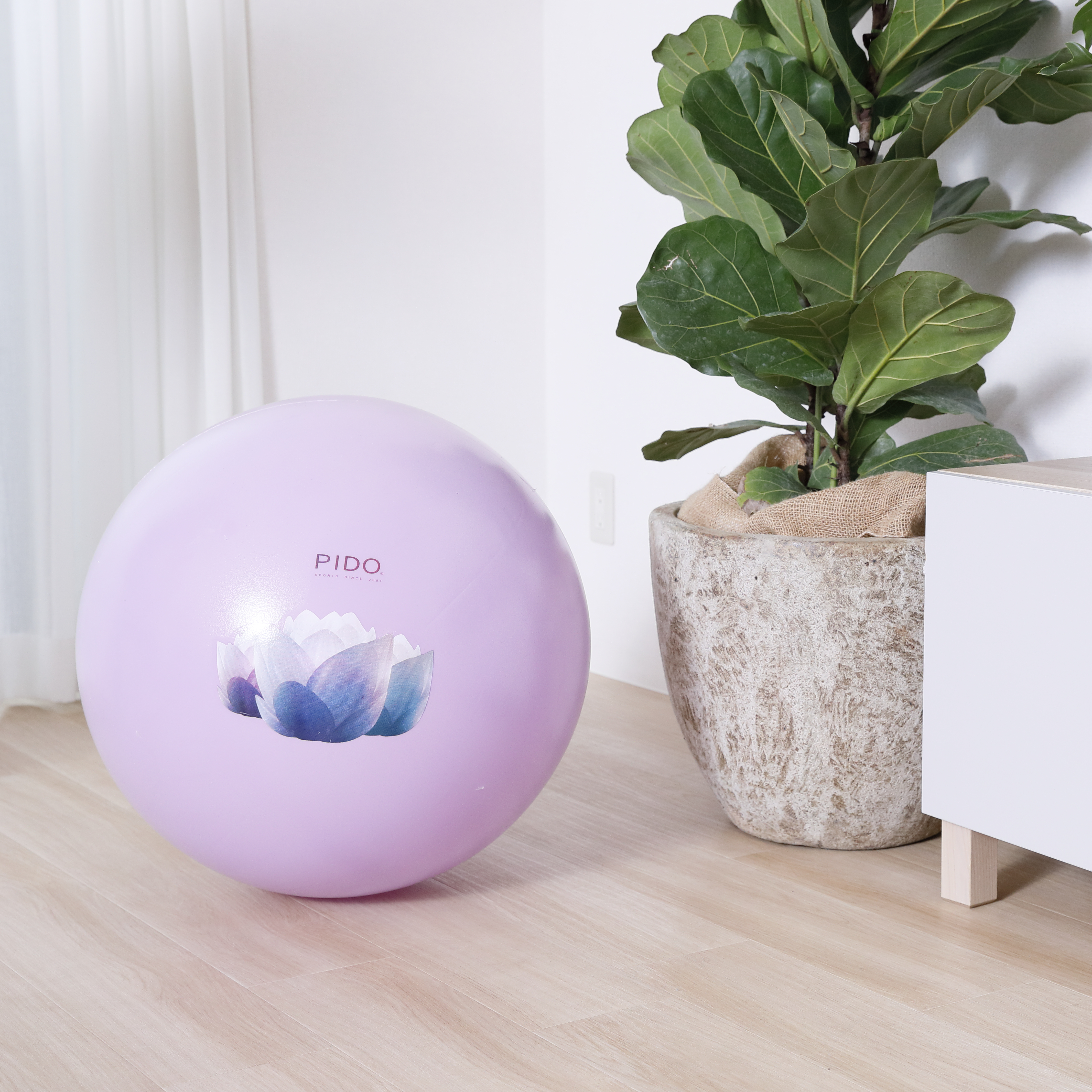 22年10月 バランスボールのおすすめ人気ランキング29選 徹底比較 Mybest