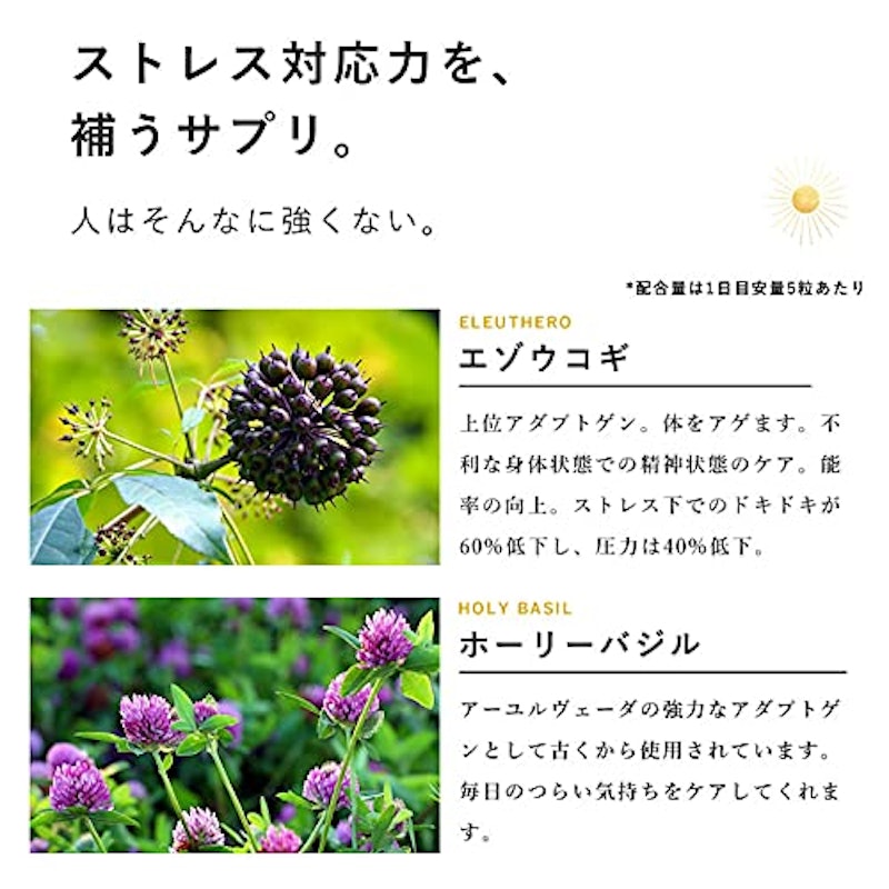 ADRENAL CARE 5