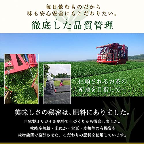 みなみの風 3