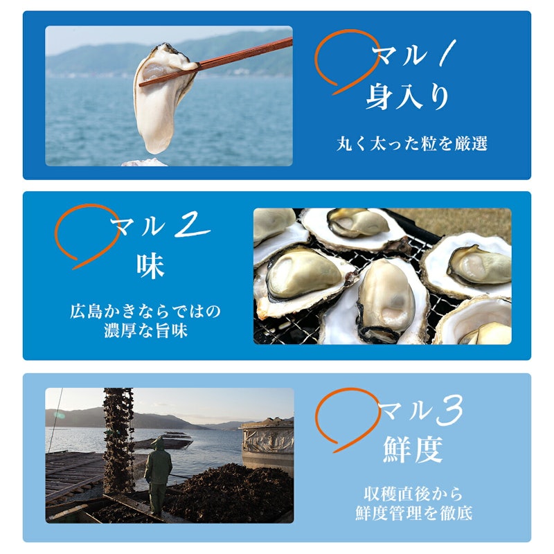 ロクマルオイスター 冷凍かき 5