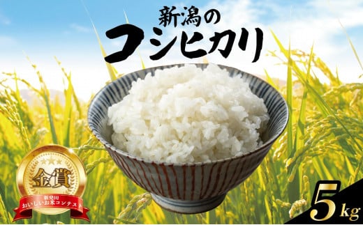 コシヒカリ 1