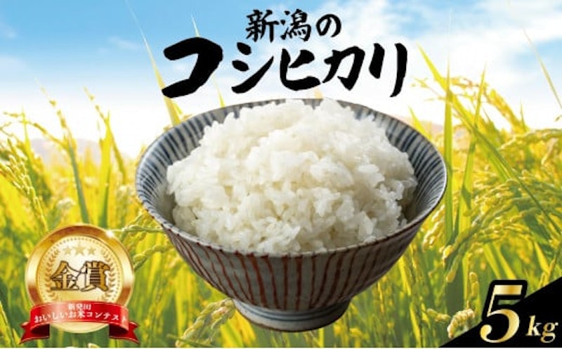 コシヒカリ 1