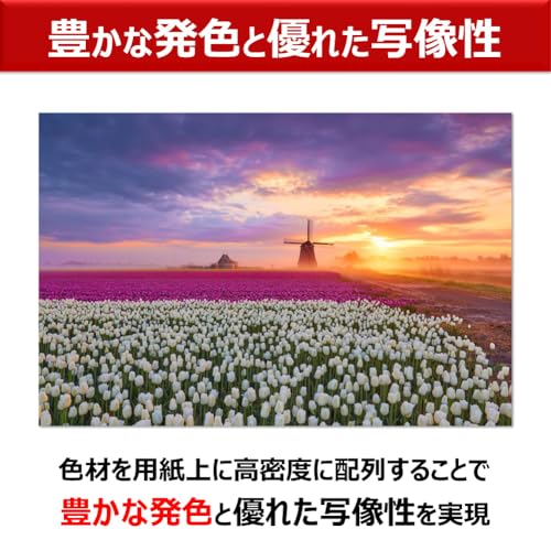 imagePROGRAF 5