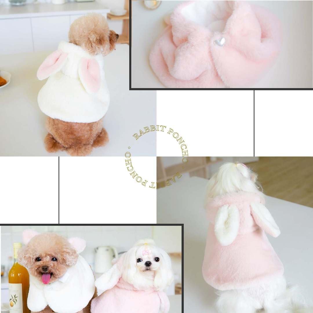 犬用ポンチョ 3