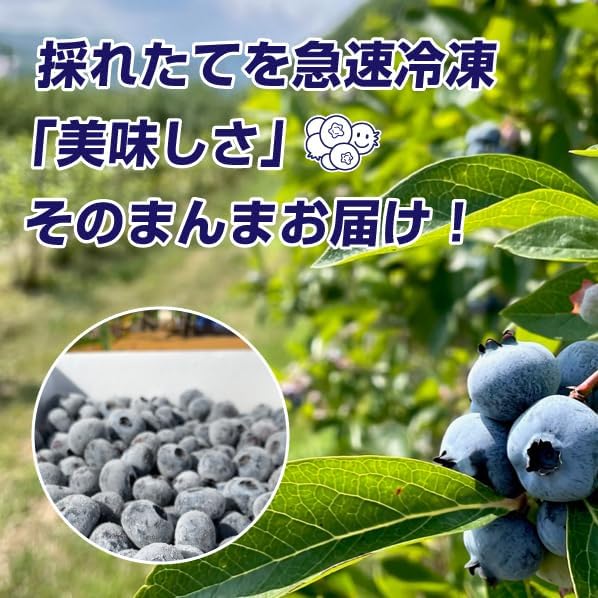 冷凍ブルーベリー 2