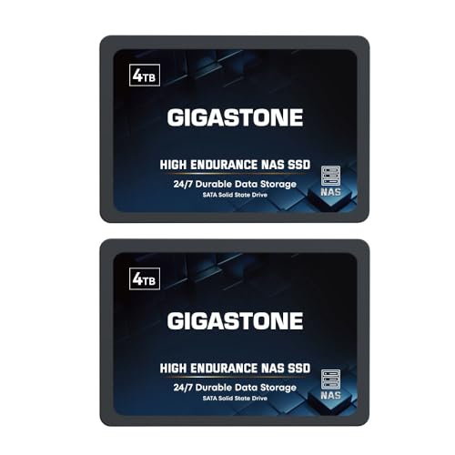 NAS SSD 1